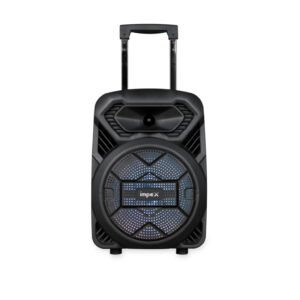 Multimedia Portable Speaker System